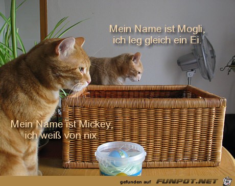 Mein Name ist Mein Name ist