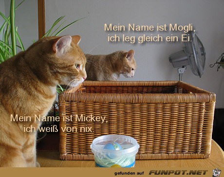 Mein Name ist