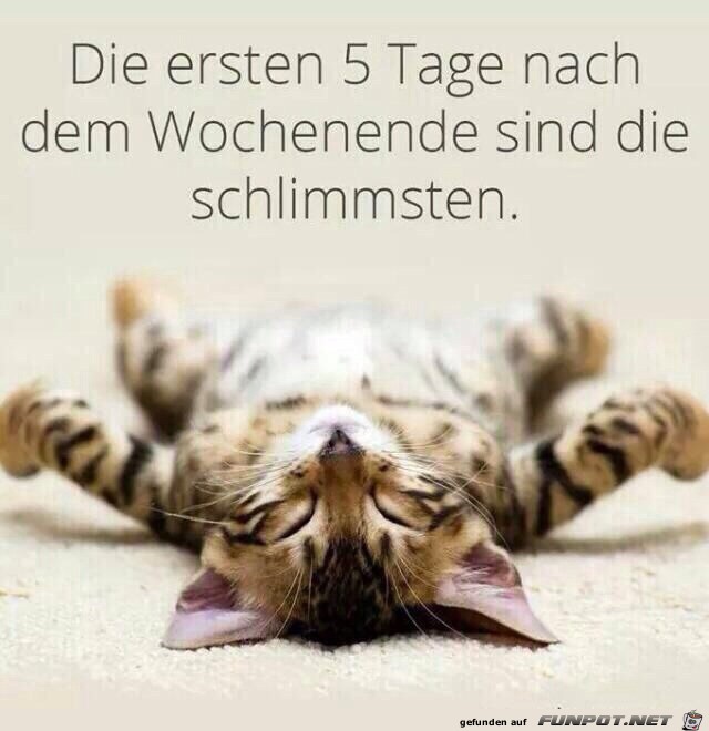 die ersten 5 Tage die ersten 5 Tage