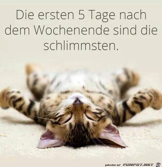 die ersten 5 Tage