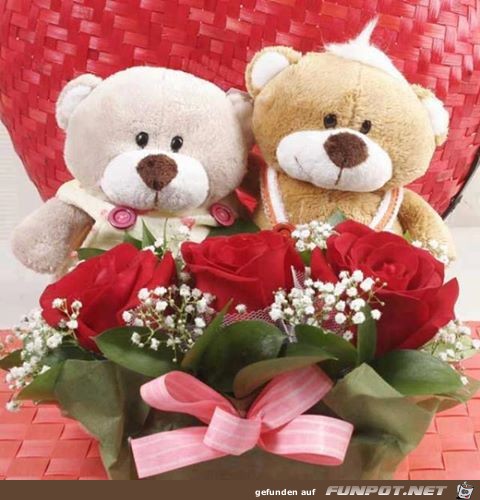 Teddy Teddy