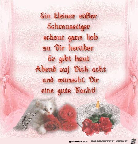 Gute Nacht Gute Nacht