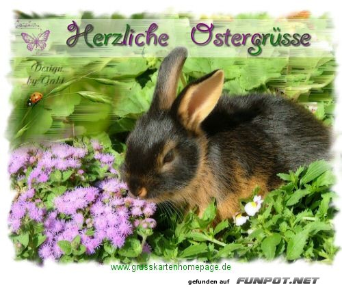 Herzliche Gruesse Herzliche Gruesse