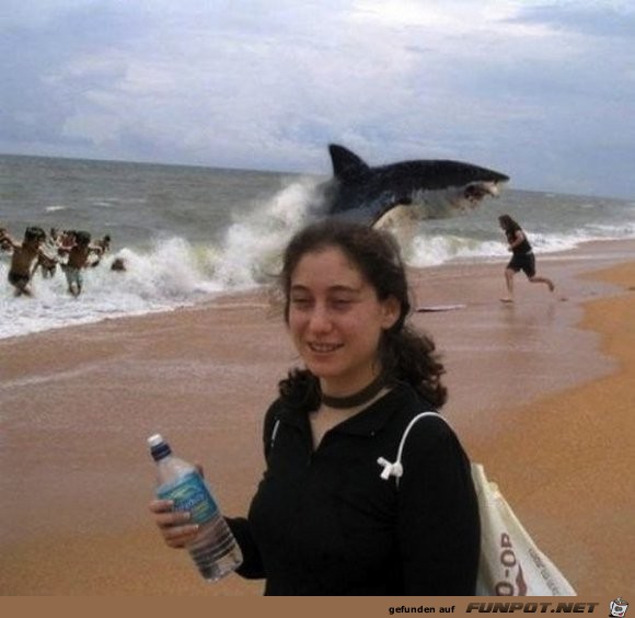 animal-photobombs-banned-hollywood05-large-msg-137720171529 animal-photobombs-banned-hollywood05-large-msg-137720171529