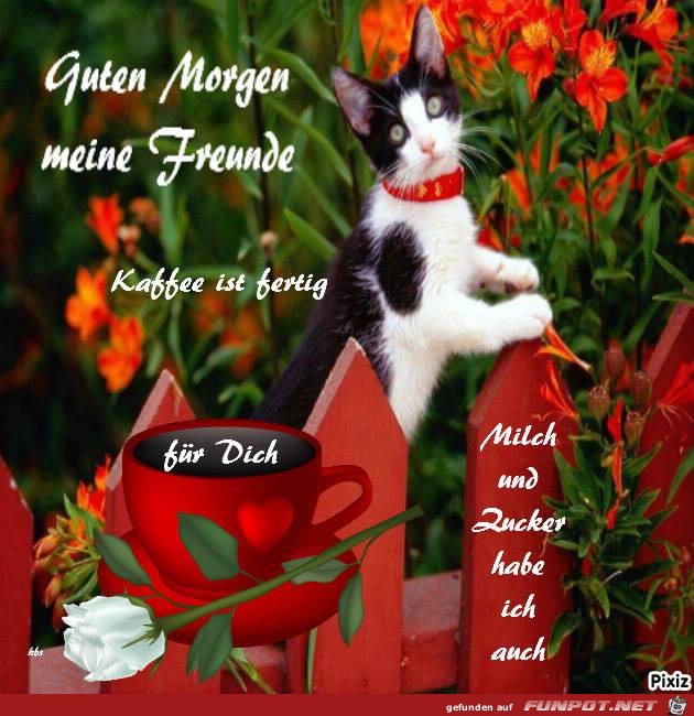 Guten Morgen Guten Morgen