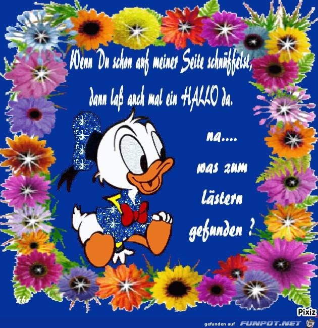 Hallo Hallo