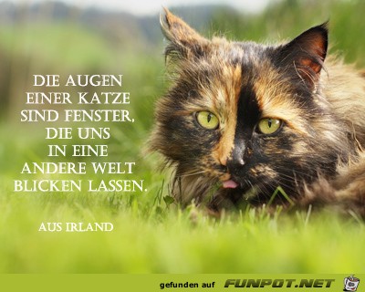 Die Augen Die Augen