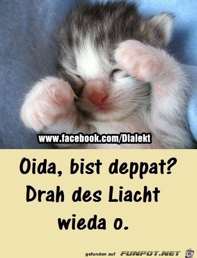 Drah des Liacht o