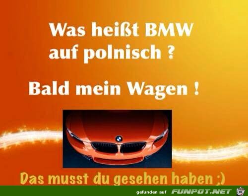 Uebersetzung ins Polnische Uebersetzung ins Polnische