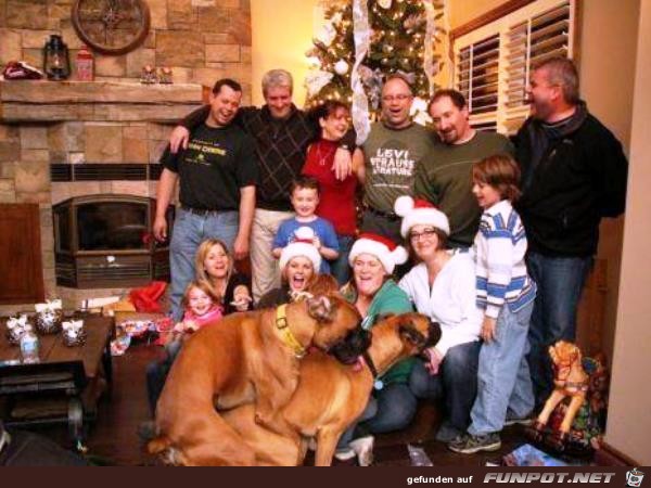 photobombs-1 photobombs-1