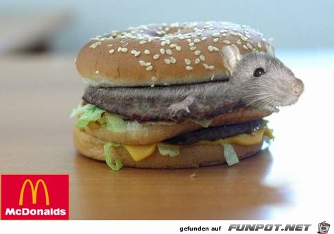 Burger Burger
