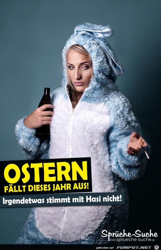 irgendetwas-stimmt-mit-hasi-nicht irgendetwas-stimmt-mit-hasi-nicht