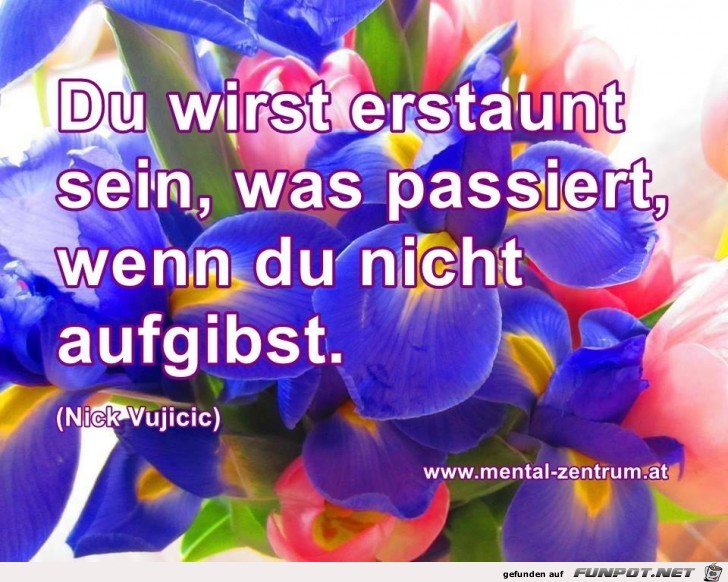 Du wirst erstaunt sein Du wirst erstaunt sein