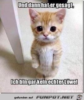 und dann hat er gesagt und dann hat er gesagt