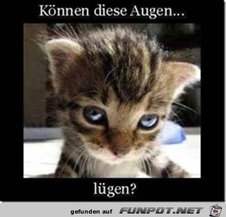 diese Augen