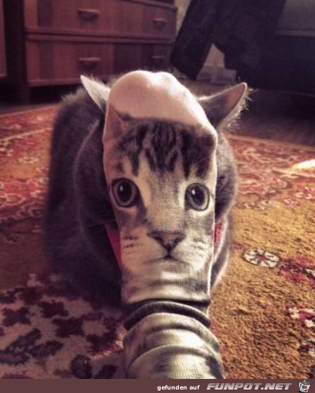 Coole Socke Coole Socke
