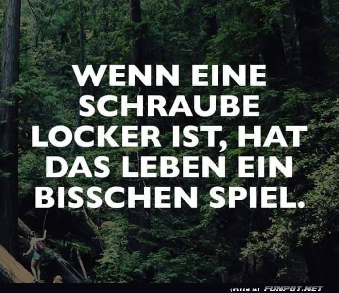 10 sch�ne Spr�che und Lebensweisheiten aus...