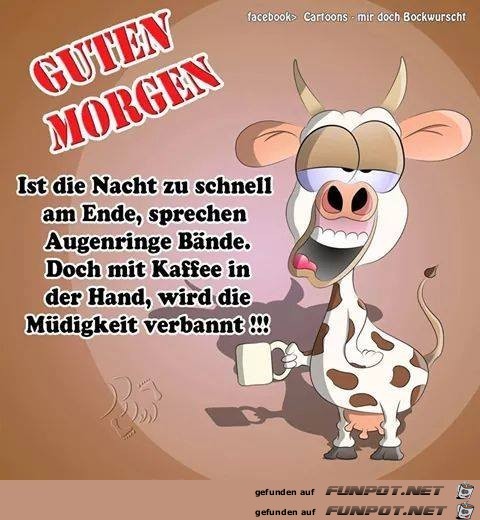 Guten Morgen