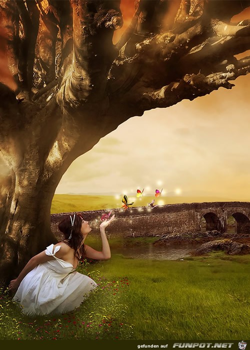 Fantasy Fantasy