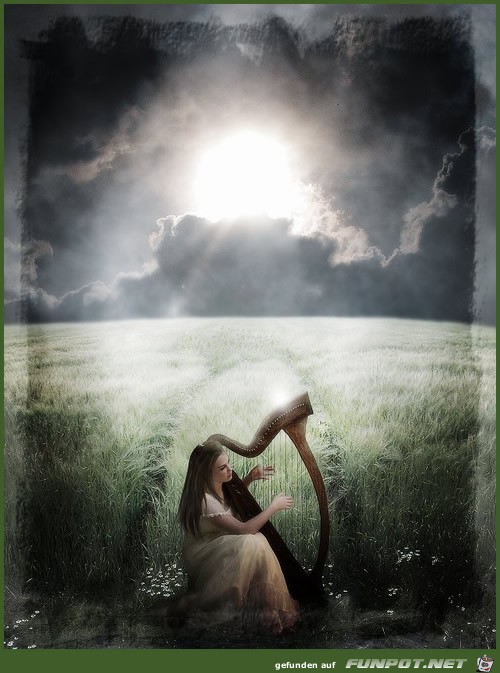Fantasy Fantasy