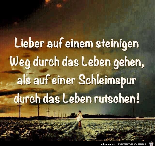Lieber auf einem steinigen Weg Lieber auf einem steinigen Weg