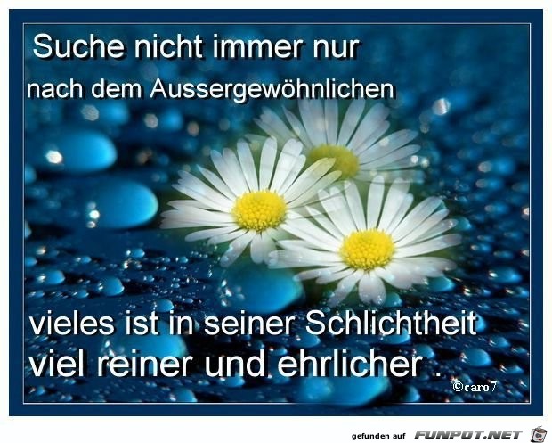 Suche nicht immer