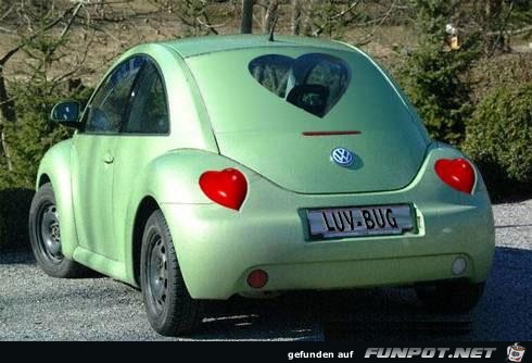 VW - Beetle