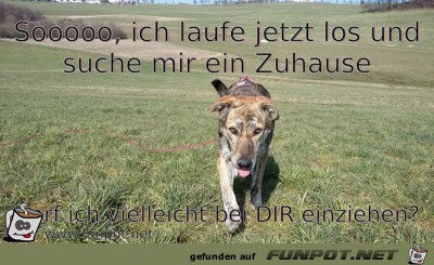 Sooooo ich laufe jetzt los und suche mir ein Zuhause Sooooo ich laufe jetzt los und suche mir ein Zuhause