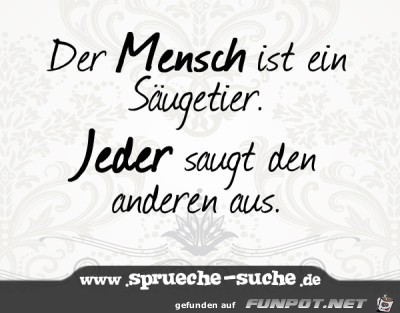 der Mensch ist ein Saeugetier der Mensch ist ein Saeugetier