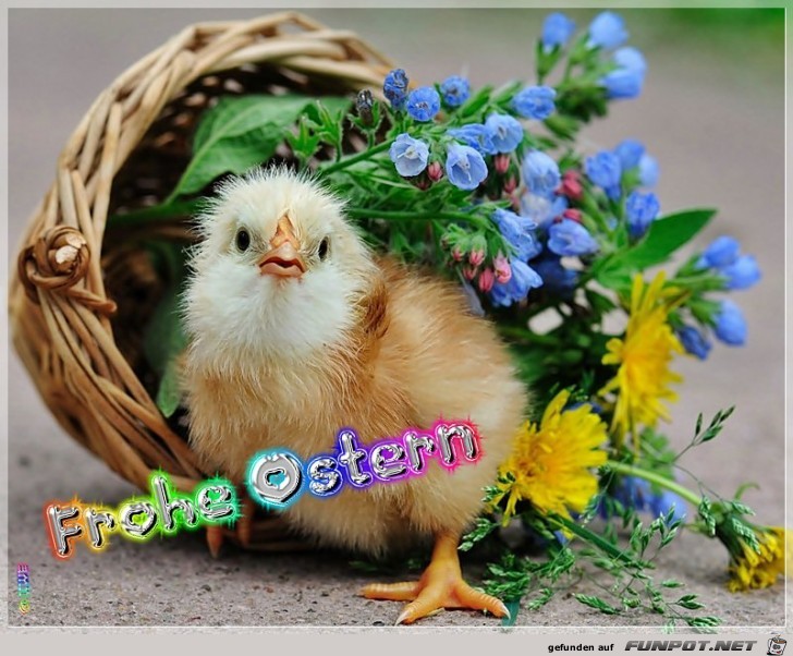 Frohe Ostern 