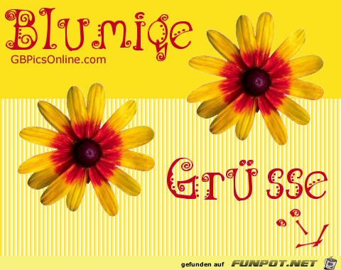 Grüße Grüße