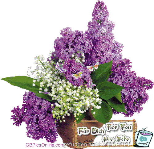 Blumen Blumen