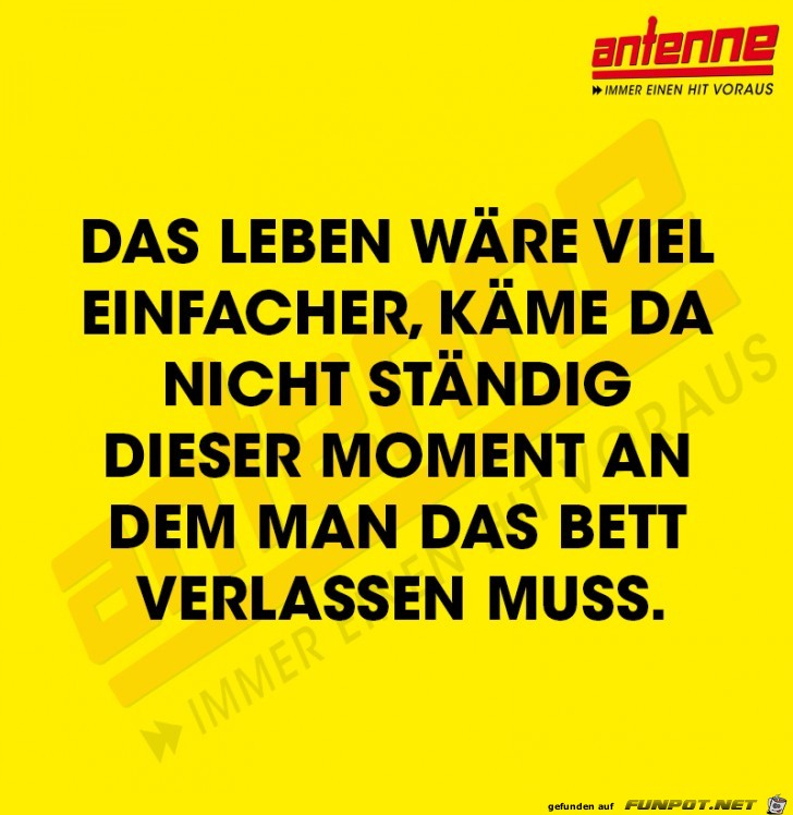 Das Leben Das Leben