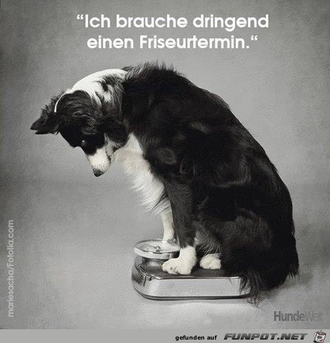 Ich brauche dringend