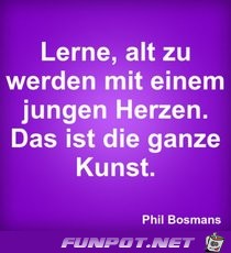 lerne alt zu werden lerne alt zu werden