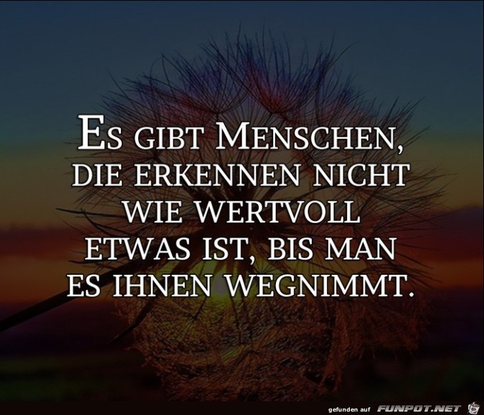 erkenne was wertvoll ist 