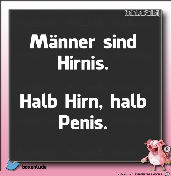 Hirnis