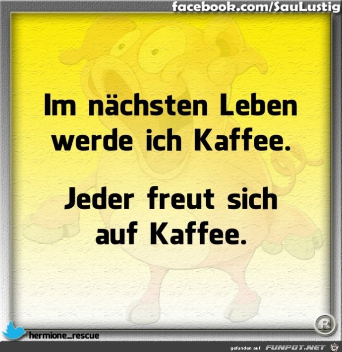 In meinem nächsten Leben In meinem nächsten Leben