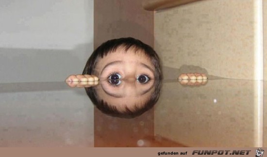spiegelbild spiegelbild