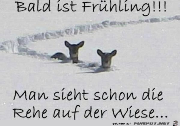 Bald ist Fruehling Bald ist Fruehling