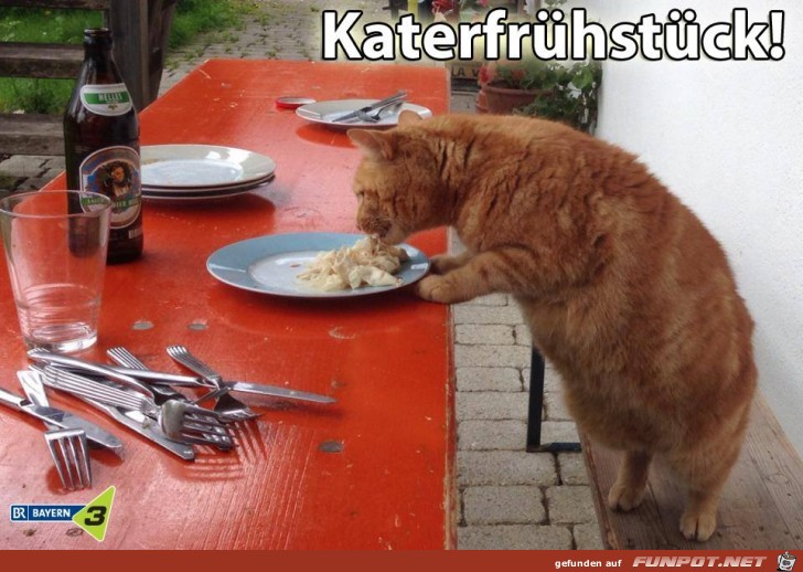 Katerfruehstueck Katerfruehstueck