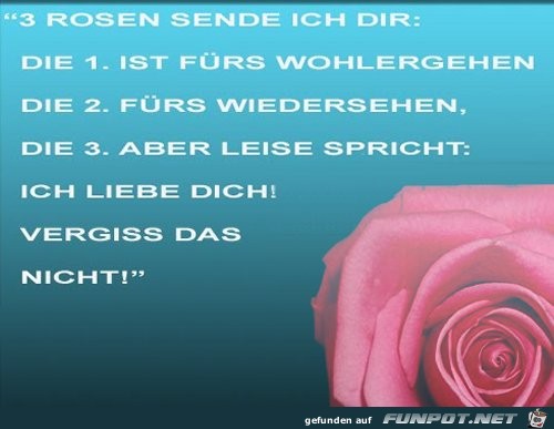 3 Rosen sende ich dir 3 Rosen sende ich dir
