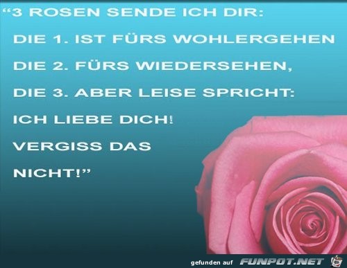 3 Rosen sende ich dir 