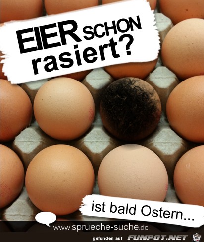 eier-rasieren eier-rasieren