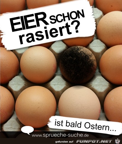 eier-rasieren