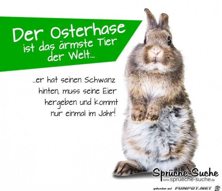 der-osterhase