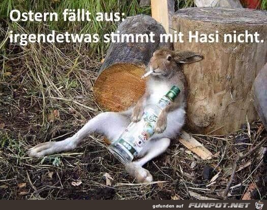 Ostern fllt aus