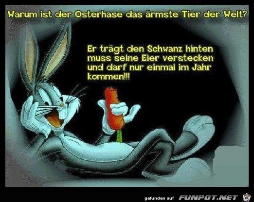 warum ist der Osterhase das rmste Tier