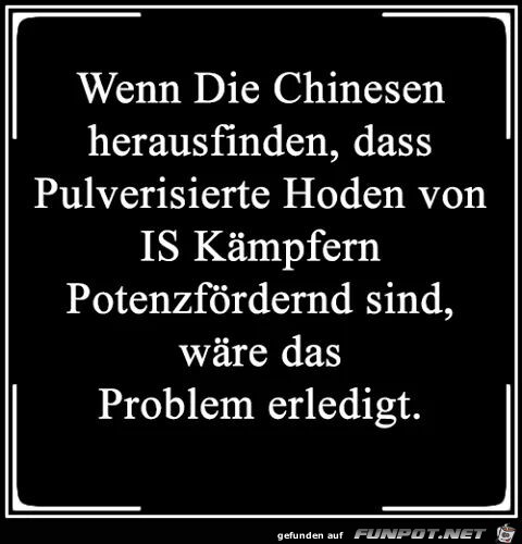 Die Chinesen