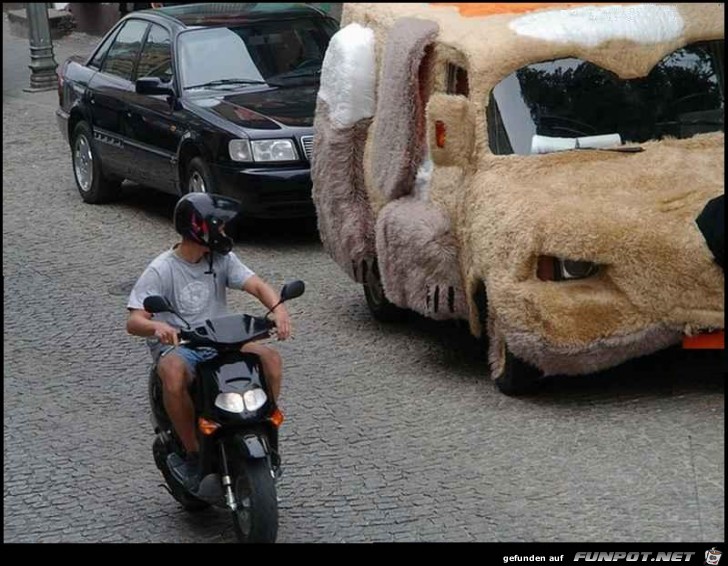 Auto mit Fell Auto mit Fell